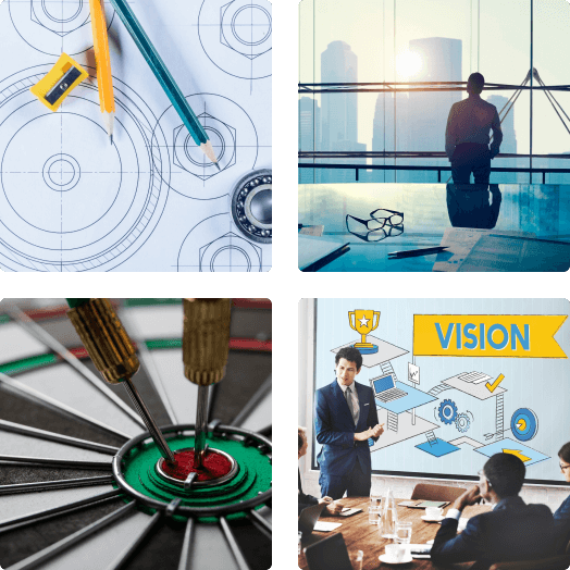 Vision